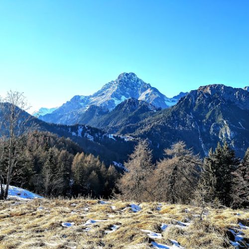 Calalzo_Crinviaggio