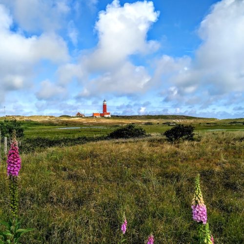 Texel_Crinviaggio