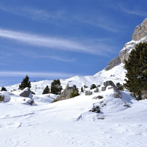 fassa1_crinviaggio