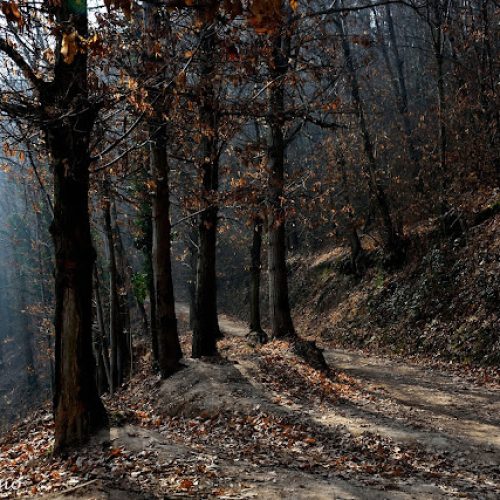 torreglia_crinviaggio